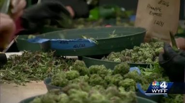 Lawmakers work to decide on bill legalizing medical marijuana in South Carolina