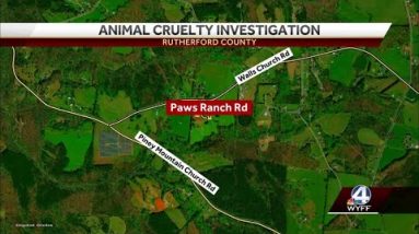 Dozens of farm animals seized, deputies say