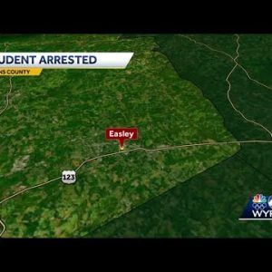 Easley High School student arrested