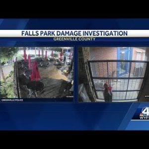 Falls Park Damage
