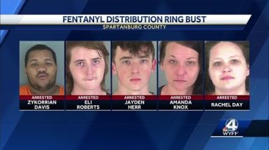 Fentanyl SPA bust