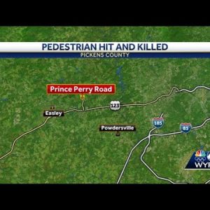Pedestrian hit, killed in Pickens County