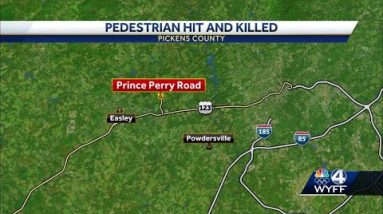 Pedestrian hit, killed in Pickens County