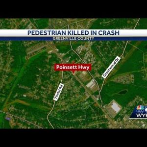 Pedestrian killed following crash on Poinsett Highway identified