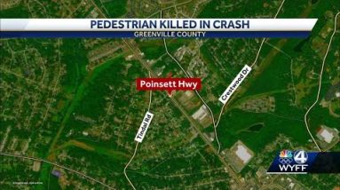 Poinsett Hwy pedestrian involved fatal