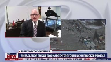 'Freedom Convoy' trucker protest: Windsor, Canada mayor files injunction to end bridge blockade