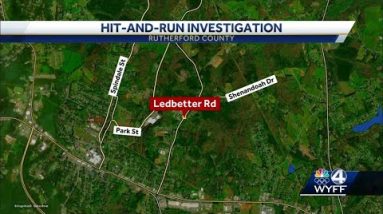 Rutherford County hit and run