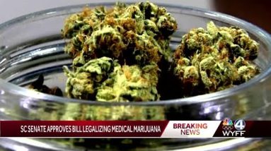 SC Senate passes medical marijuana bill