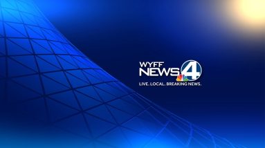 Sky 4: Dogs seized in "puppy mill" investigation