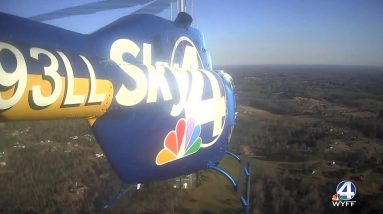 Sky 4: Dogs seized in "puppy mill" investigation