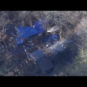 Sky 4 over property of "puppy mill investigation