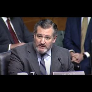 Ted Cruz slams judicial nominee in heated confirmation hearing | LiveNOW from FOX