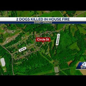 2 Dogs killed in Upstate house fire