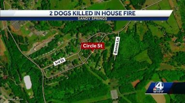 2 Dogs killed in Upstate house fire
