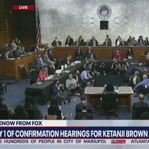 'Media will be your cheerleader' Lindsey Graham says in Ketanji Brown Jackson confirmation hearing