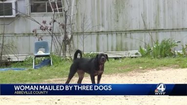 Dog Mauling in abbeville 6pm