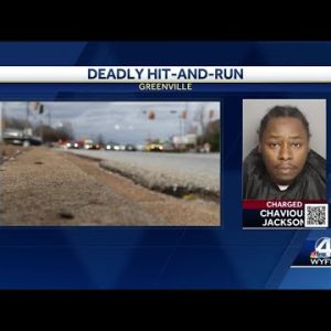 Driver in deadly hit and run turns himself in