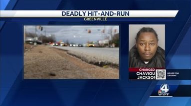 Driver in deadly hit and run turns himself in