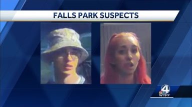 Falls park vandalism new picture