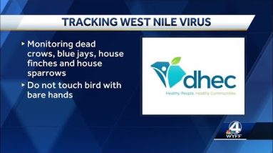 Find a dead bird? Bring it to DHEC