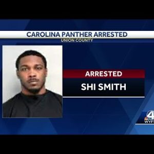 Former Gamecock, current Panther arrested in Union County