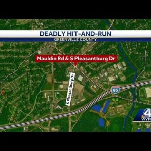 Greenville Police investigating deadly hit-and-run