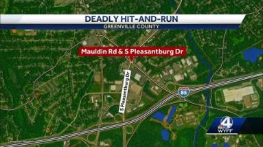 Greenville Police investigating deadly hit-and-run