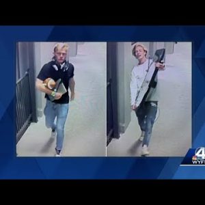 Greenville police release photos of burglars