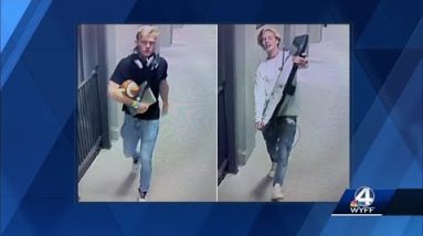 Greenville police release photos of burglars