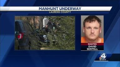 Laurens Manhunt