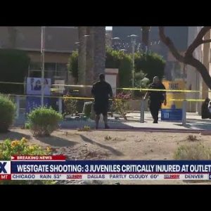 Arizona outlet shooting: Multiple injured after shots fired | LiveNOW from FOX