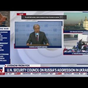 Russia-Ukraine: Nuclear war could happen, UN secretary-general says | LiveNOW from FOX