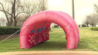 Giant, pink inflatable colon raises awareness at Prisma Health of colorectal cancer