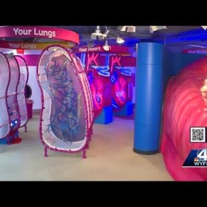 Sounds, lights bring human anatomy to life at Upstate children's museum
