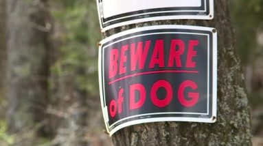 South Carolina woman attacked by 3 dogs has arms amputated