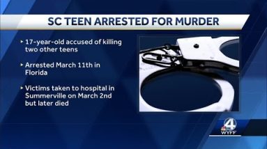 Teen accused of double murder arrested at Florida resort