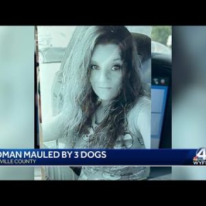 Man charged after South Carolina woman mauled, injured by 2 pit bulls, mixed-breed dog