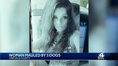 Man charged after South Carolina woman mauled, injured by 2 pit bulls, mixed-breed dog