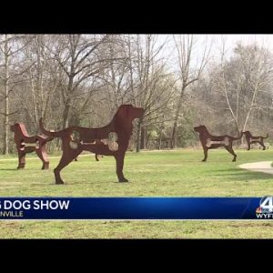 The Big Dog Show in Greenville