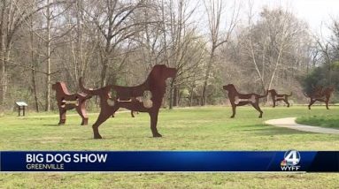 The Big Dog Show in Greenville