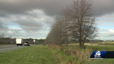 Upstate trees running late for "leaf popping" this spring