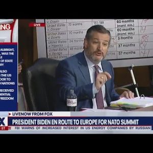 Cruz snaps, claims Dems protecting Supreme Court nominee | LiveNOW from FOX