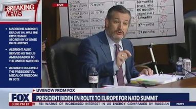 Cruz snaps, claims Dems protecting Supreme Court nominee | LiveNOW from FOX