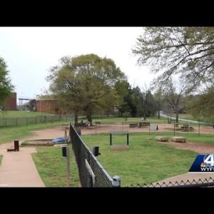 Greenville County sheriff asks for people to stop having sex at Pelham Mill Park