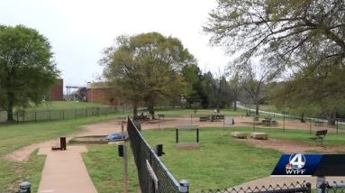 Greenville County sheriff asks for people to stop having sex at Pelham Mill Park