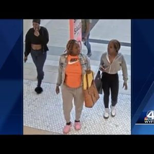$1,600 worth of clothing from Victoria's Secret in Greenville, police say