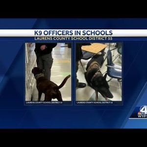 School district in South Carolina starts GoFundMe for firearms detection dogs