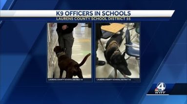School district in South Carolina starts GoFundMe for firearms detection dogs