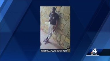 Woman hit with plate of whipped cream in downtown Greenville; police looking for assault suspect
