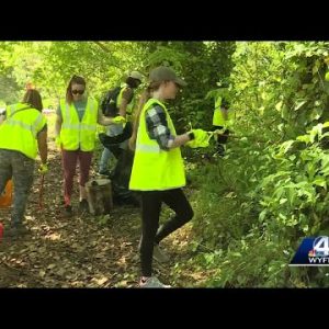 New efforts underway to ‘make Greenville greener’